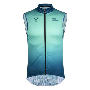 Nunc congue dui nec...