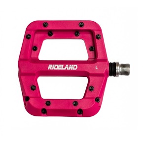 Nunc congue dui nec...