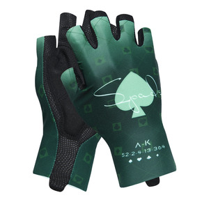 Nunc congue dui nec...